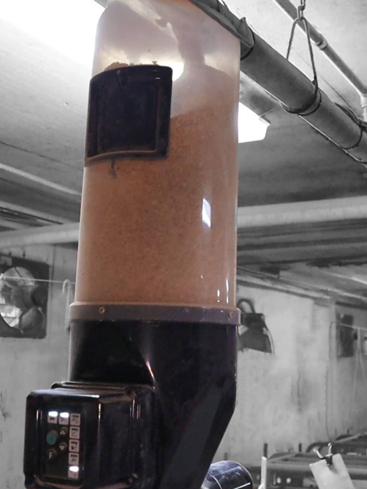 gestal-focus-detail-2