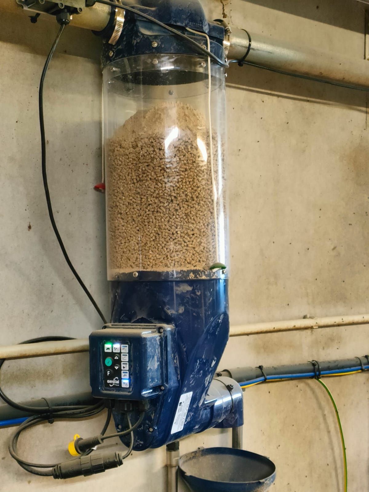 whatsapp-image-2024-11-27-at-114441